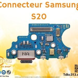 Connecteur Samsung S20 org