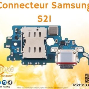 Connecteur Samsung S21 org